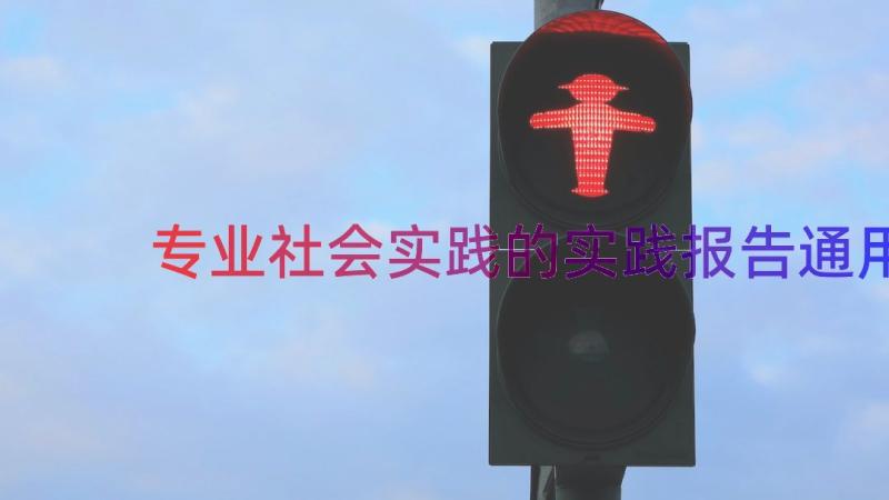 专业社会实践的实践报告（通用12篇）