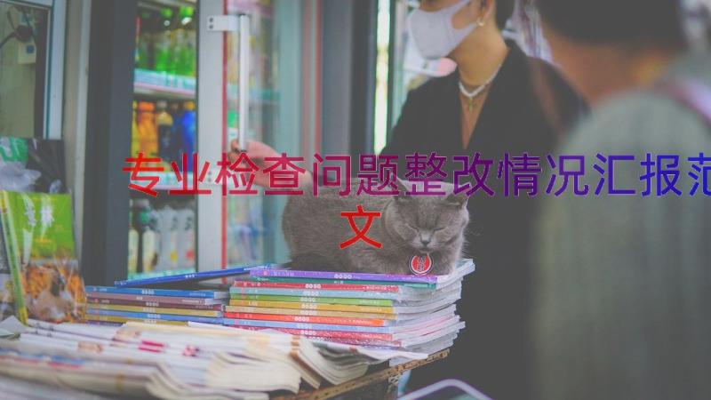 专业检查问题整改情况汇报范文（12篇）