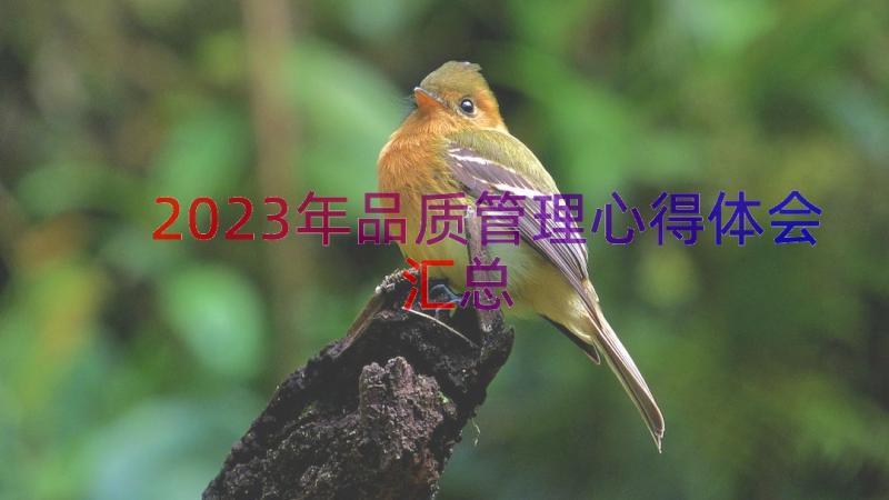 2023年品质管理心得体会（汇总17篇）