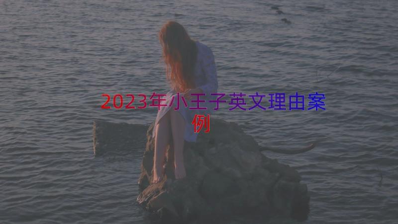 2023年小王子英文理由（案例16篇）