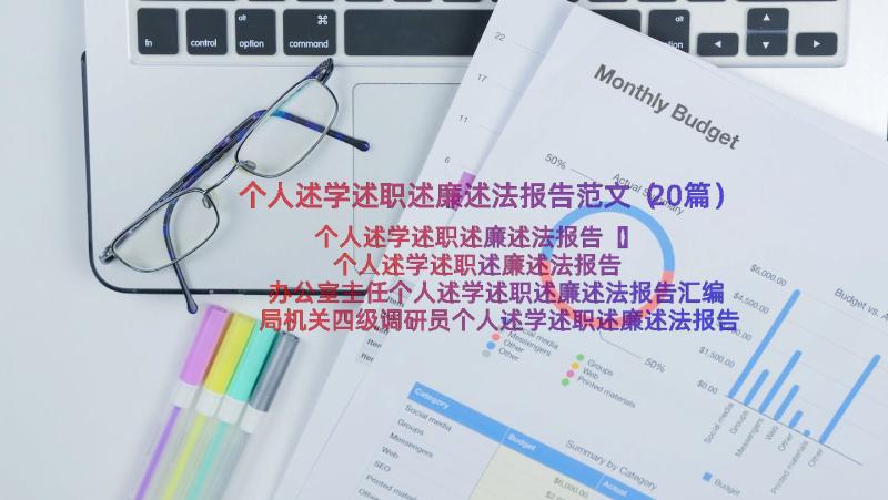 个人述学述职述廉述法报告范文（20篇）