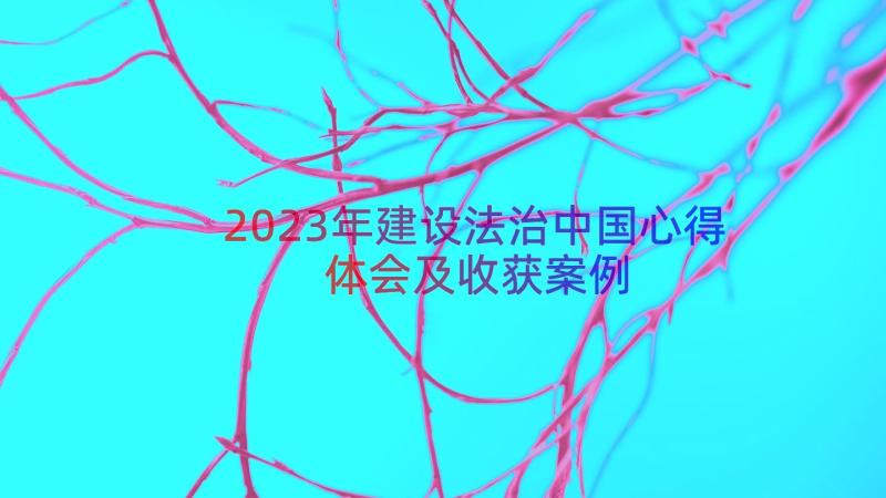 2023年建设法治中国心得体会及收获（案例15篇）