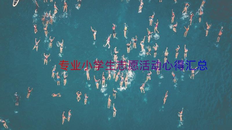 专业小学生志愿活动心得（汇总13篇）