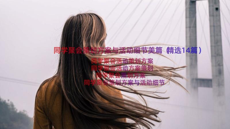 同学聚会策划方案与活动细节美篇（精选14篇）