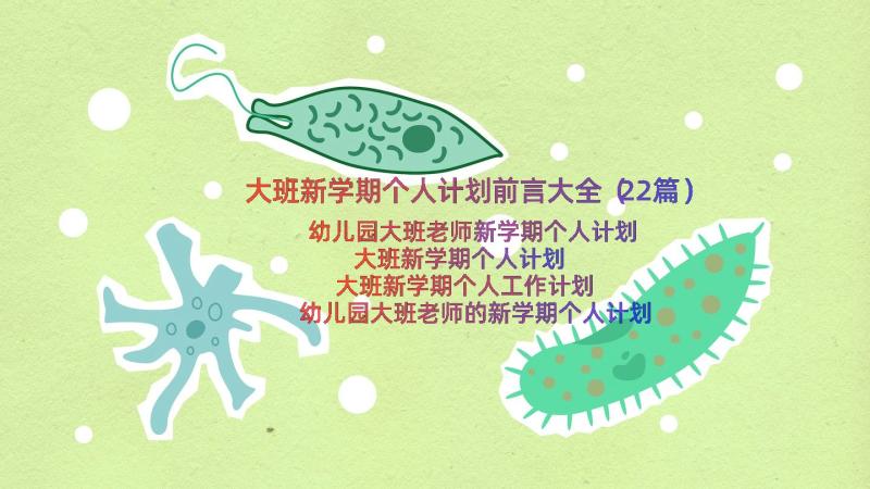 大班新学期个人计划前言大全（22篇）