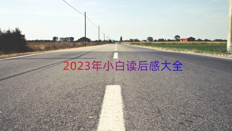 2023年小白读后感大全（14篇）