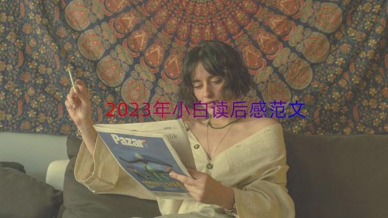 2023年小白读后感范文（18篇）