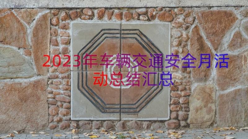 2023年车辆交通安全月活动总结（汇总14篇）