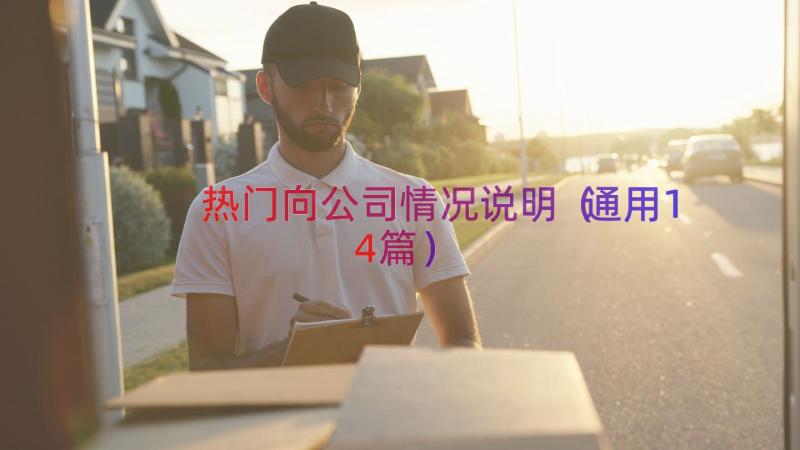 热门向公司情况说明（通用14篇）