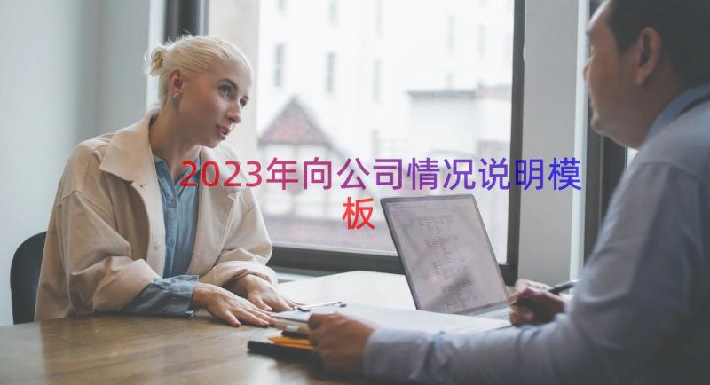 2023年向公司情况说明（模板19篇）