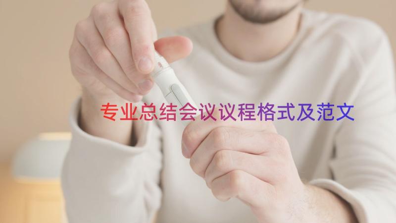 专业总结会议议程格式及范文（14篇）