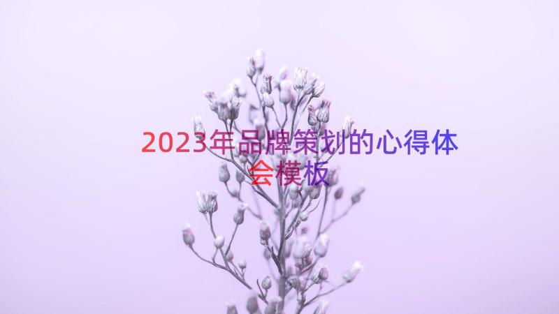 2023年品牌策划的心得体会（模板13篇）