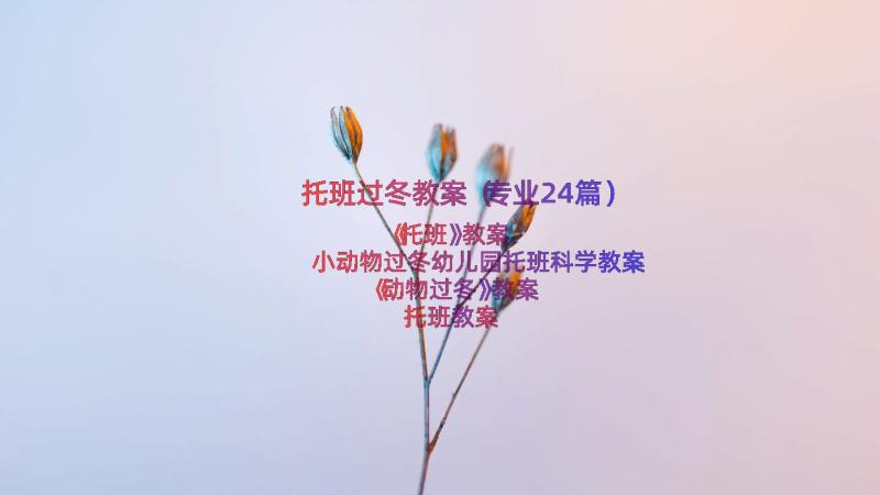 托班过冬教案（专业24篇）