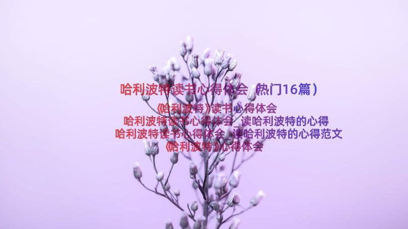 哈利波特读书心得体会（热门16篇）