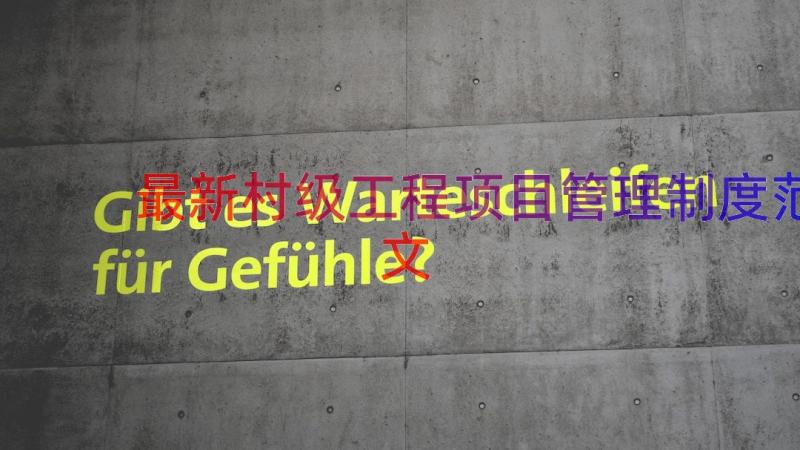 最新村级工程项目管理制度范文（20篇）