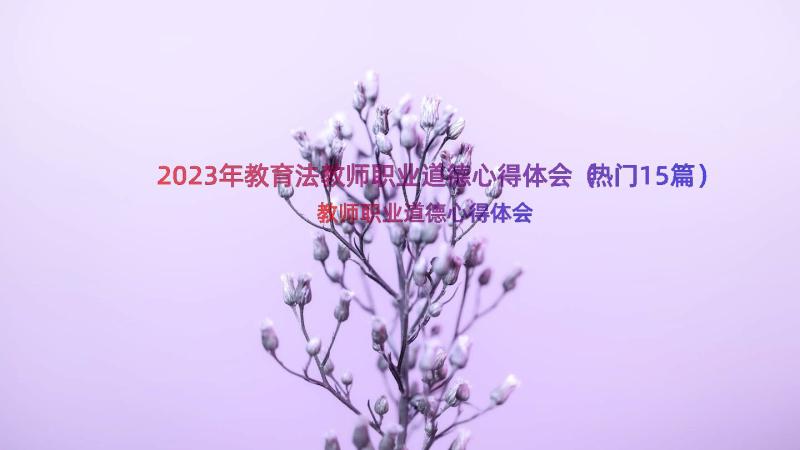 2023年教育法教师职业道德心得体会（热门15篇）