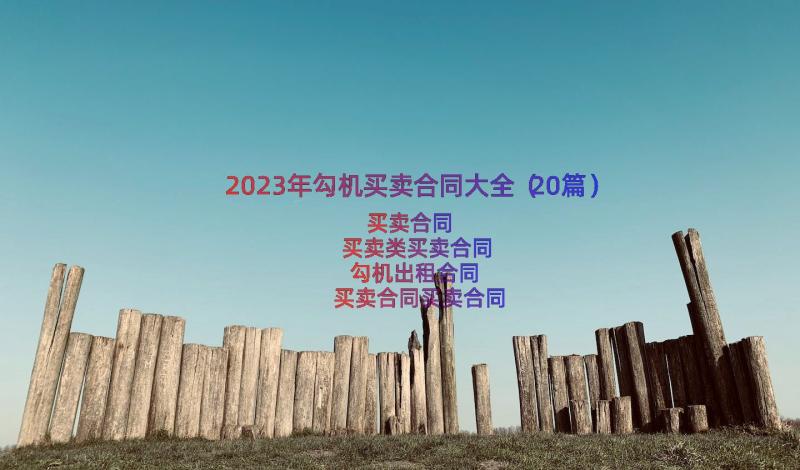 2023年勾机买卖合同大全（20篇）