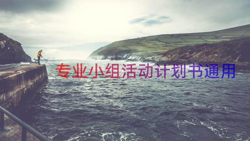 专业小组活动计划书（通用15篇）