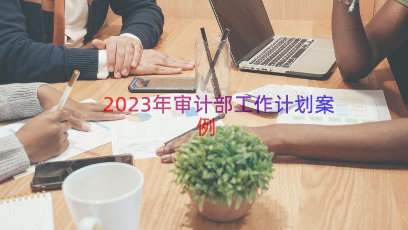 2023年审计部工作计划（案例15篇）