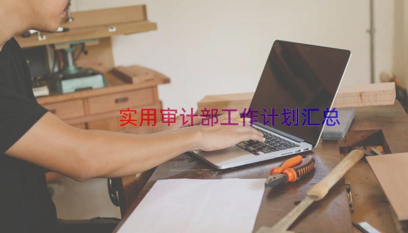 实用审计部工作计划（汇总14篇）