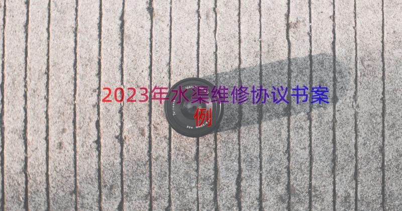 2023年水渠维修协议书（案例14篇）