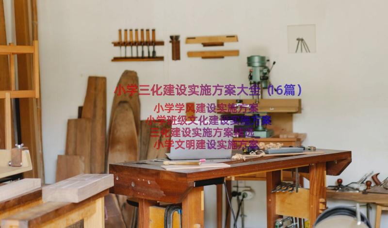 小学三化建设实施方案大全（16篇）