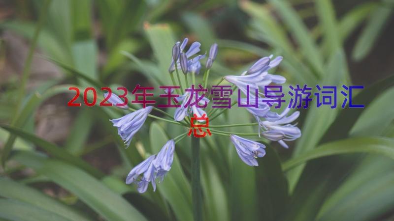 2023年玉龙雪山导游词（汇总12篇）