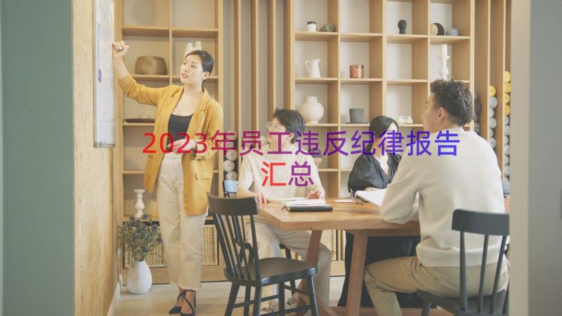 2023年员工违反纪律报告（汇总17篇）