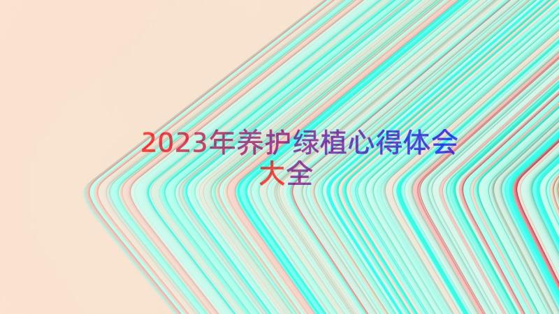 2023年养护绿植心得体会大全（17篇）