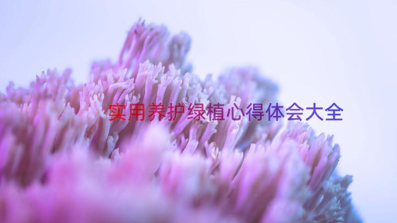 实用养护绿植心得体会大全（12篇）