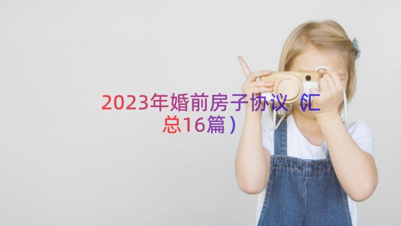 2023年婚前房子协议（汇总16篇）