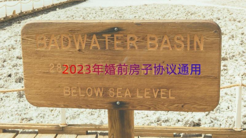 2023年婚前房子协议（通用16篇）