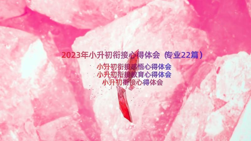 2023年小升初衔接心得体会（专业22篇）