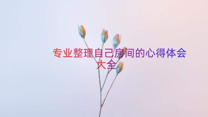 专业整理自己房间的心得体会大全（13篇）