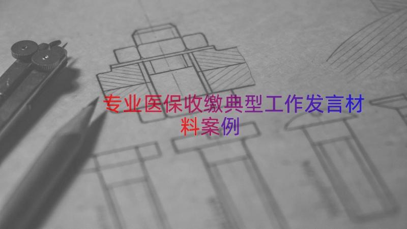 专业医保收缴典型工作发言材料（案例16篇）