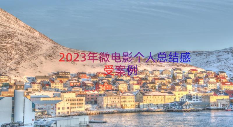 2023年微电影个人总结感受（案例16篇）