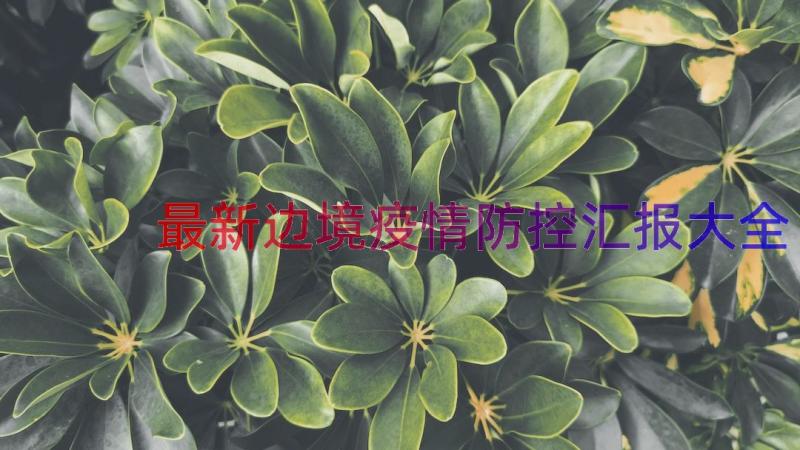 最新边境疫情防控汇报大全（12篇）