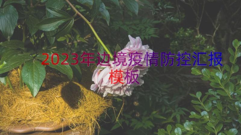 2023年边境疫情防控汇报（模板16篇）