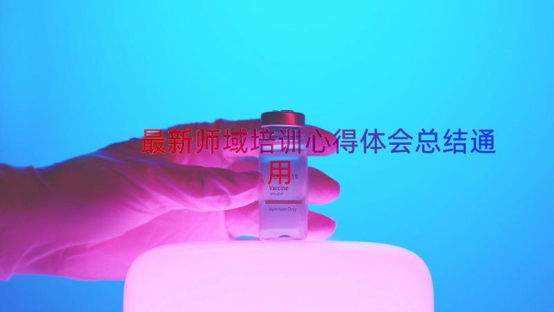 最新师域培训心得体会总结（通用16篇）