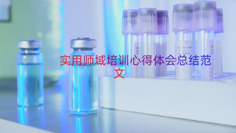 实用师域培训心得体会总结范文（14篇）