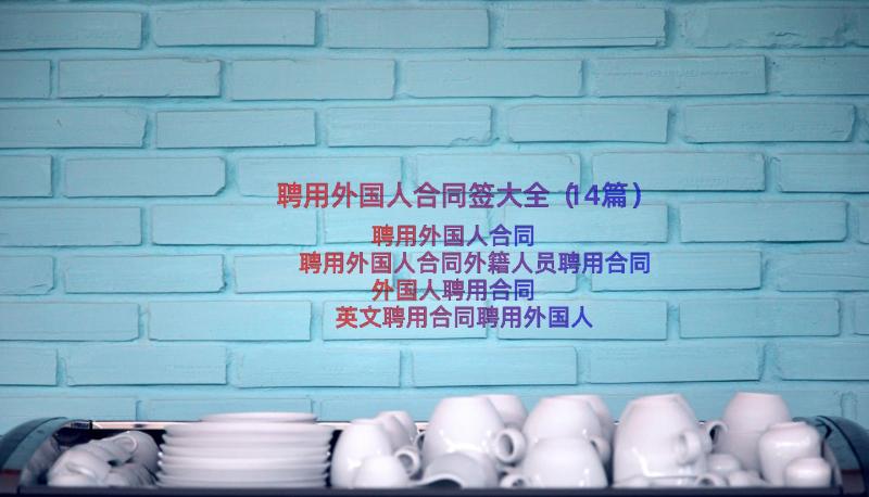 聘用外国人合同签大全（14篇）