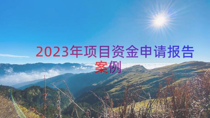 2023年项目资金申请报告（案例13篇）