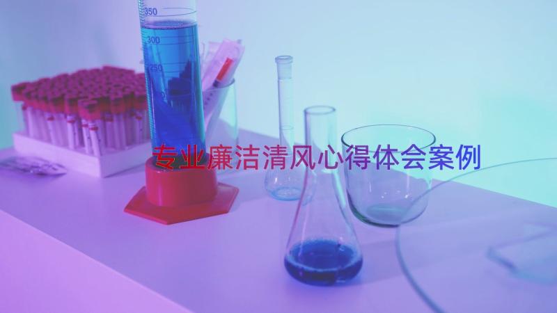 专业廉洁清风心得体会（案例18篇）