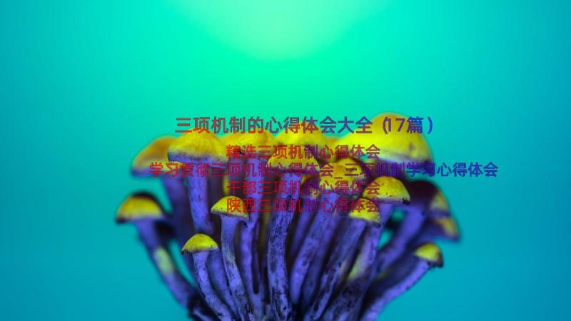 三项机制的心得体会大全（17篇）