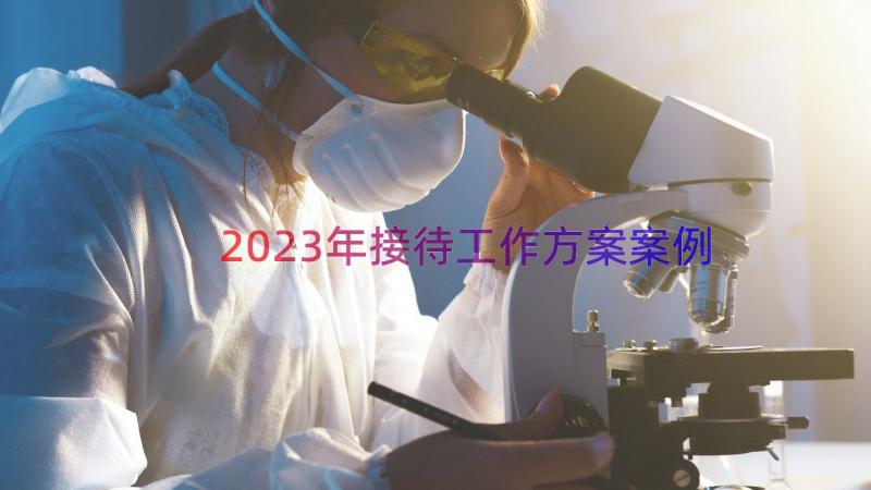 2023年接待工作方案（案例19篇）