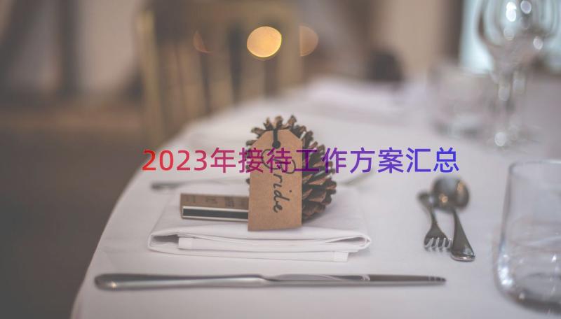 2023年接待工作方案（汇总16篇）