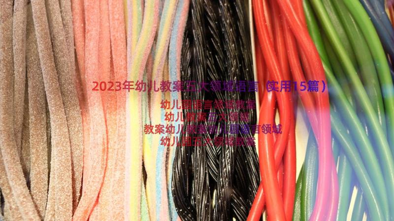 2023年幼儿教案五大领域语言（实用15篇）