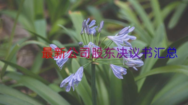 最新公司股东决议书（汇总12篇）