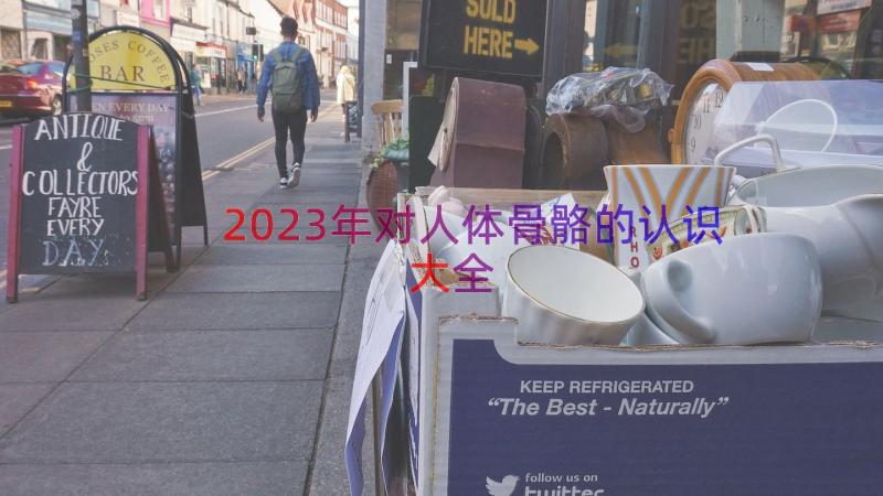 2023年对人体骨骼的认识大全（18篇）