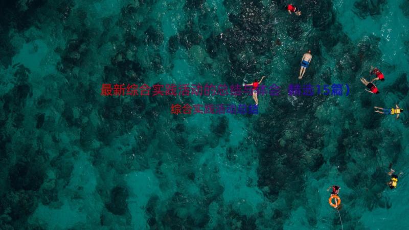 最新综合实践活动的总结与体会（精选15篇）